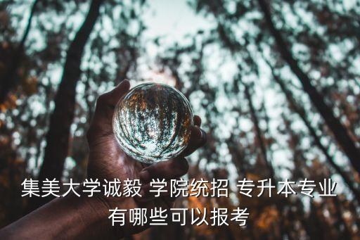 集美大學(xué)誠毅 學(xué)院統(tǒng)招 專升本專業(yè)有哪些可以報(bào)考