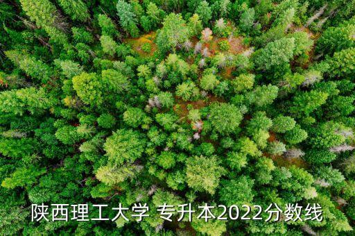 陜西理工大學(xué) 專升本2022分數(shù)線