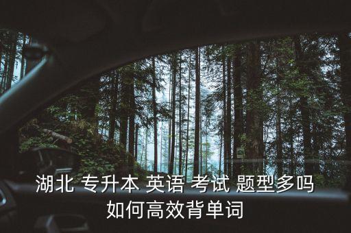 湖北 專升本 英語(yǔ) 考試 題型多嗎如何高效背單詞