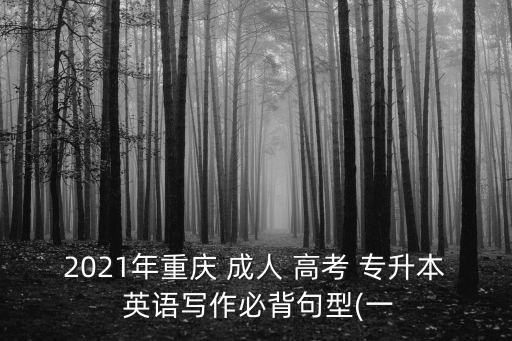 2021年重慶 成人 高考 專升本 英語寫作必背句型(一