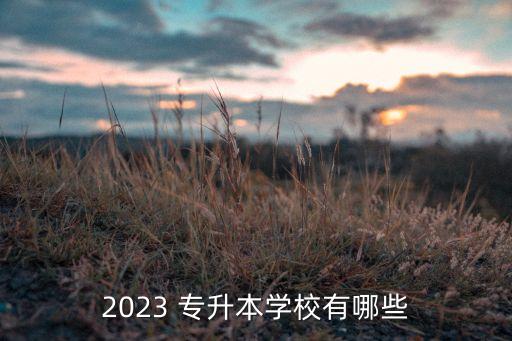 2023 專升本學(xué)校有哪些