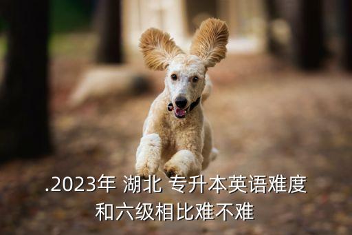 .2023年 湖北 專升本英語難度和六級相比難不難