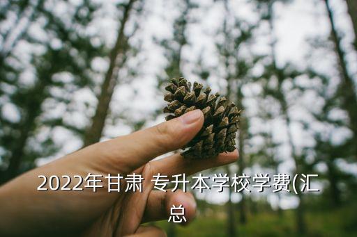 2022年甘肅 專升本學(xué)校學(xué)費(fèi)(匯總