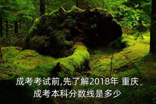 成考考試前,先了解2018年 重慶成考本科分?jǐn)?shù)線(xiàn)是多少