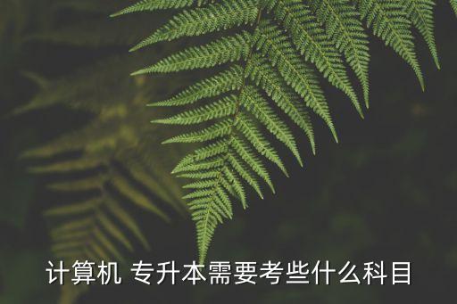 計(jì)算機(jī) 專升本需要考些什么科目