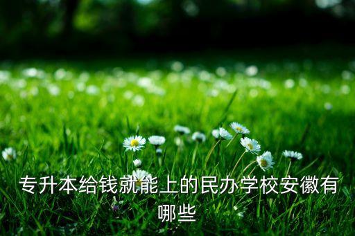  專升本給錢就能上的民辦學(xué)校安徽有哪些