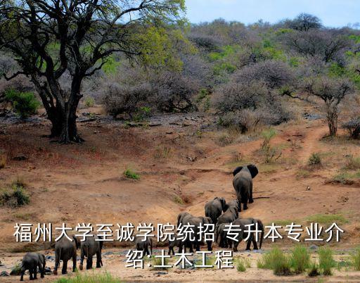 建筑系專升本福建