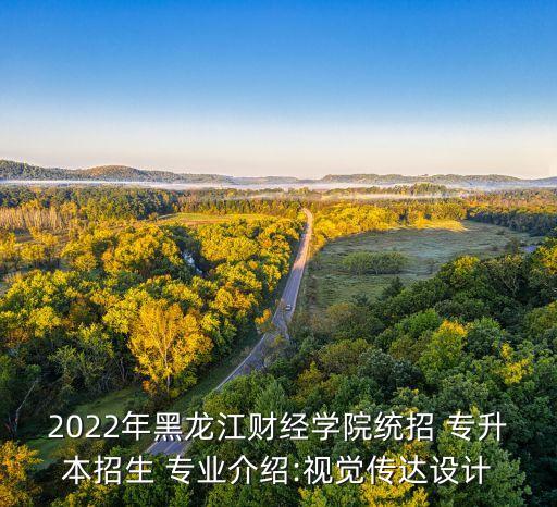 2022年黑龍江財(cái)經(jīng)學(xué)院統(tǒng)招 專升本招生 專業(yè)介紹:視覺傳達(dá)設(shè)計(jì)