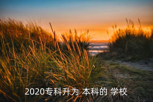 2020?？粕秊?本科的 學校