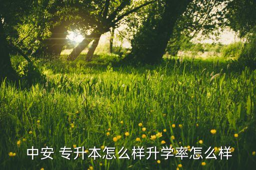 合肥中安專升本簡歷,蕪湖中安專升本合肥校區(qū)