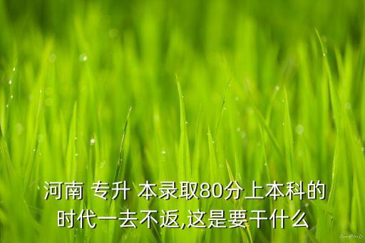  河南 專升 本錄取80分上本科的時(shí)代一去不返,這是要干什么