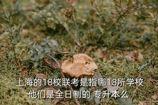  上海的18校聯(lián)考是指哪18所學(xué)校他們是全日制的 專升本么