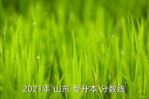 2021年 山東 專升本 分數(shù)線