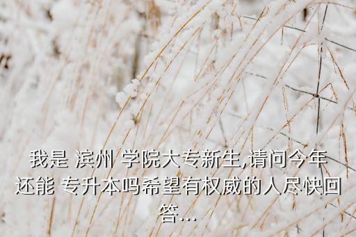 我是 濱州 學(xué)院大專新生,請(qǐng)問(wèn)今年還能 專升本嗎希望有權(quán)威的人盡快回答...