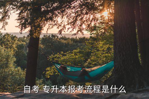 專升本前置學(xué)歷怎么弄