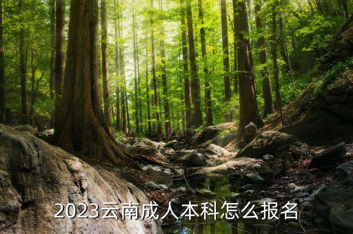 云南招考頻道專升本錄取查詢,2022云南專升本錄取查詢時(shí)間