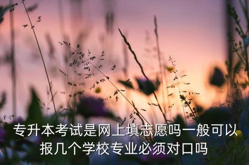  專升本考試是網(wǎng)上填志愿嗎一般可以報幾個學(xué)校專業(yè)必須對口嗎