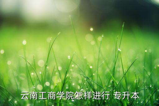  云南工商學(xué)院怎樣進行 專升本