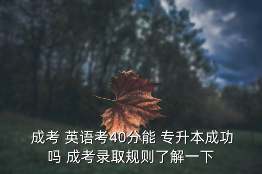  成考 英語(yǔ)考40分能 專升本成功嗎 成考錄取規(guī)則了解一下