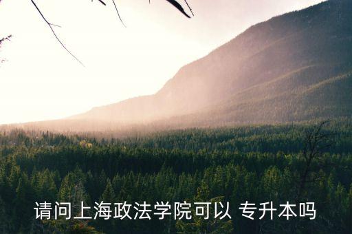 上海大學有哪些可以專升本的