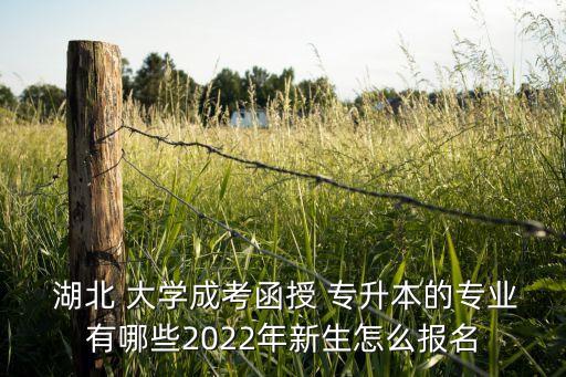  湖北 大學成考函授 專升本的專業(yè)有哪些2022年新生怎么報名