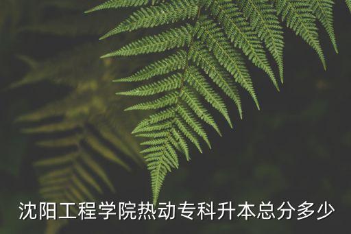  沈陽工程學(xué)院熱動專科升本總分多少