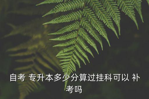 自考 專升本多少分算過(guò)掛科可以 補(bǔ)考嗎