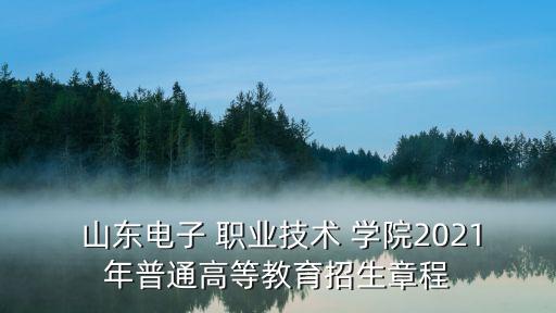  山東電子 職業(yè)技術(shù) 學院2021年普通高等教育招生章程