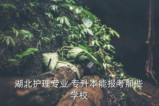  湖北護(hù)理專業(yè) 專升本能報(bào)考那些 學(xué)校