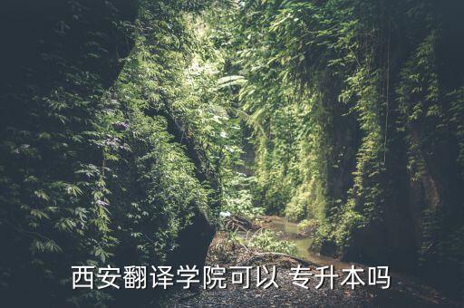 西安翻譯學(xué)院可以 專升本嗎