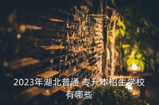 2023年湖北普通 專升本招生學校有哪些