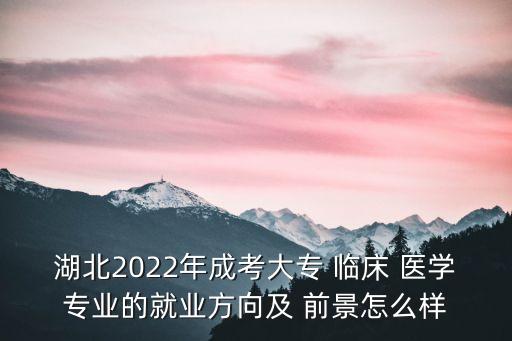 湖北2022年成考大專 臨床 醫(yī)學專業(yè)的就業(yè)方向及 前景怎么樣