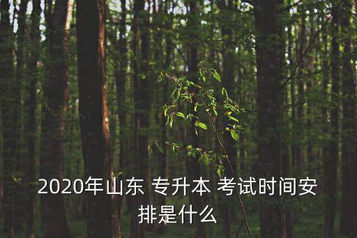 2020年山東 專升本 考試時(shí)間安排是什么