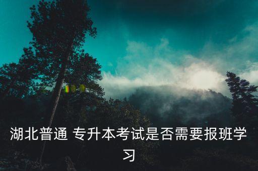 湖北普通 專(zhuān)升本考試是否需要報(bào)班學(xué)習(xí)