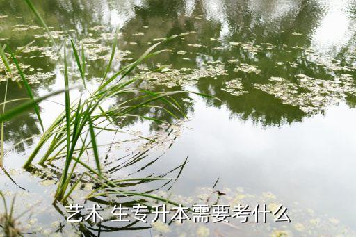 藝術(shù) 生專升本需要考什么