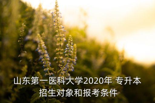 山東第一醫(yī)科大學(xué)2020年 專升本 招生對(duì)象和報(bào)考條件