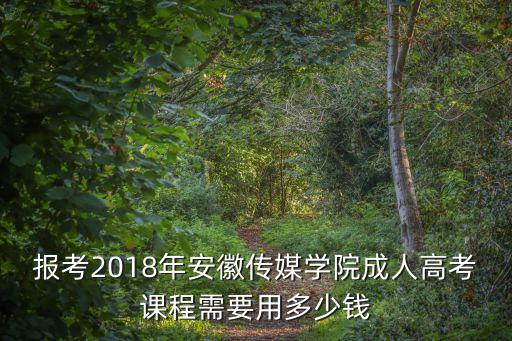 報考2018年安徽傳媒學(xué)院成人高考課程需要用多少錢