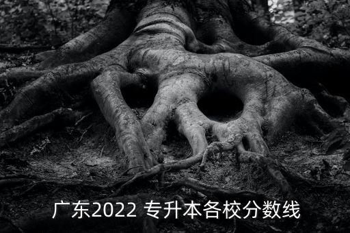  廣東2022 專升本各校分數(shù)線