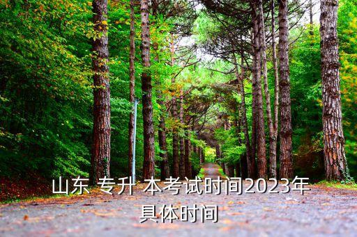  山東 專升 本考試時間2023年具體時間