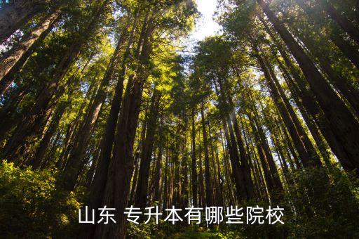 學前教育山東專升本學校,2022山東學前教育專升本有哪些學校