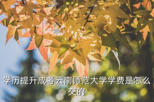 學(xué)歷提升成考云南師范大學(xué)學(xué)費(fèi)是怎么交的