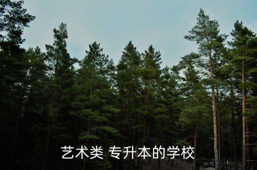 湖北美院 自考專升本,湖北自考專升本可以報(bào)考哪些大學(xué)