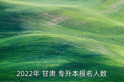 2022年 甘肅 專升本報名人數(shù)