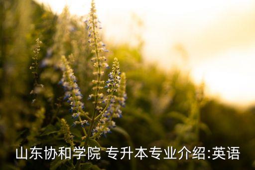 山東協(xié)和學(xué)院 專升本專業(yè)介紹:英語