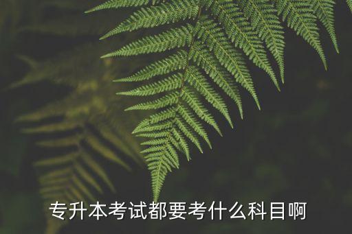 2017專升本生態(tài)學(xué)基礎(chǔ),專升本2017年高數(shù)真題