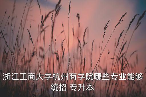 浙江工商大學(xué)杭州商學(xué)院哪些專業(yè)能夠統(tǒng)招 專升本