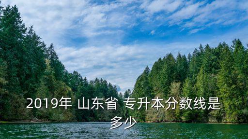 2019年 山東省 專升本分數(shù)線是多少