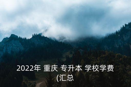 2022年 重慶 專升本 學(xué)校學(xué)費(fèi)(匯總