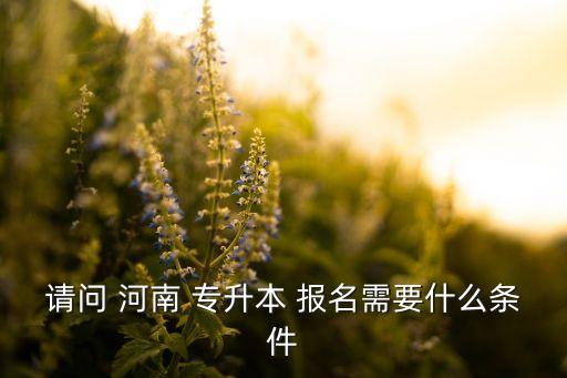 請(qǐng)問(wèn) 河南 專升本 報(bào)名需要什么條件