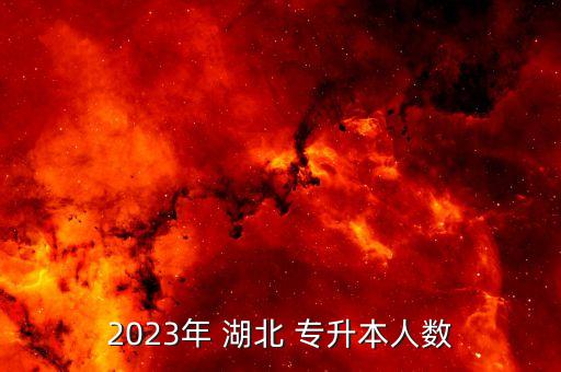 2023年 湖北 專升本人數